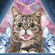 Lil Bub